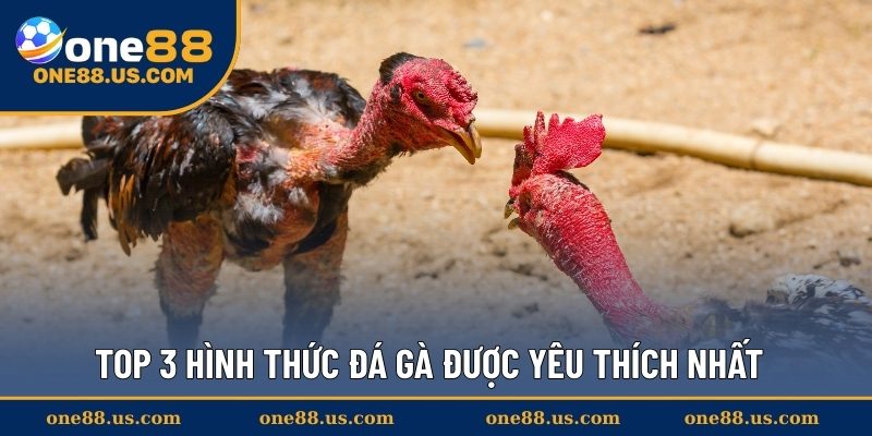 Top 3 hình thức đá gà được yêu thích nhất