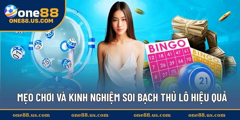 Mẹo chơi và kinh nghiệm soi bạch thủ lô hiệu quả