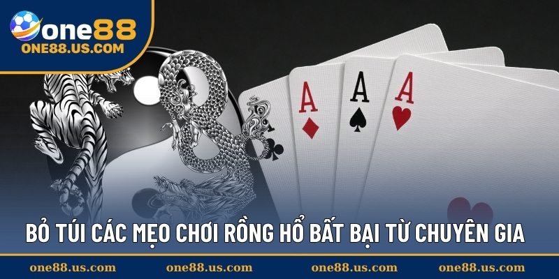 Bỏ túi các mẹo chơi Rồng Hổ bất bại từ chuyên gia